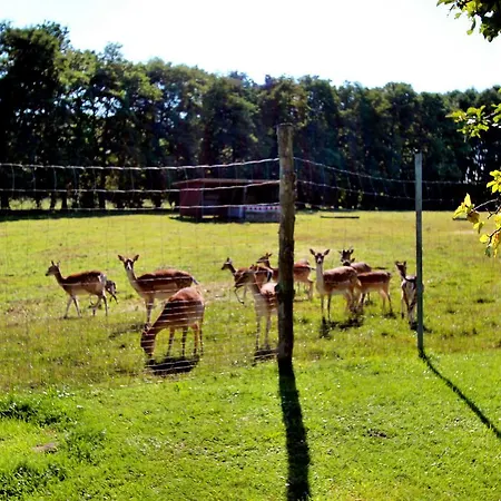 Ferien-haus Sunshine Ferienhaus *